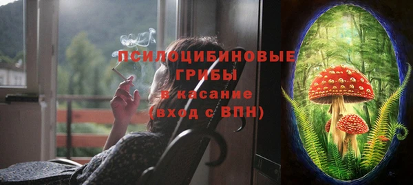 хмурый Нягань