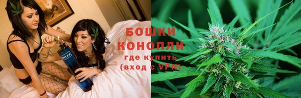 хмурый Нягань