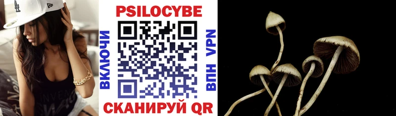 omg сайт  Шацк  Псилоцибиновые грибы Psilocybe 
